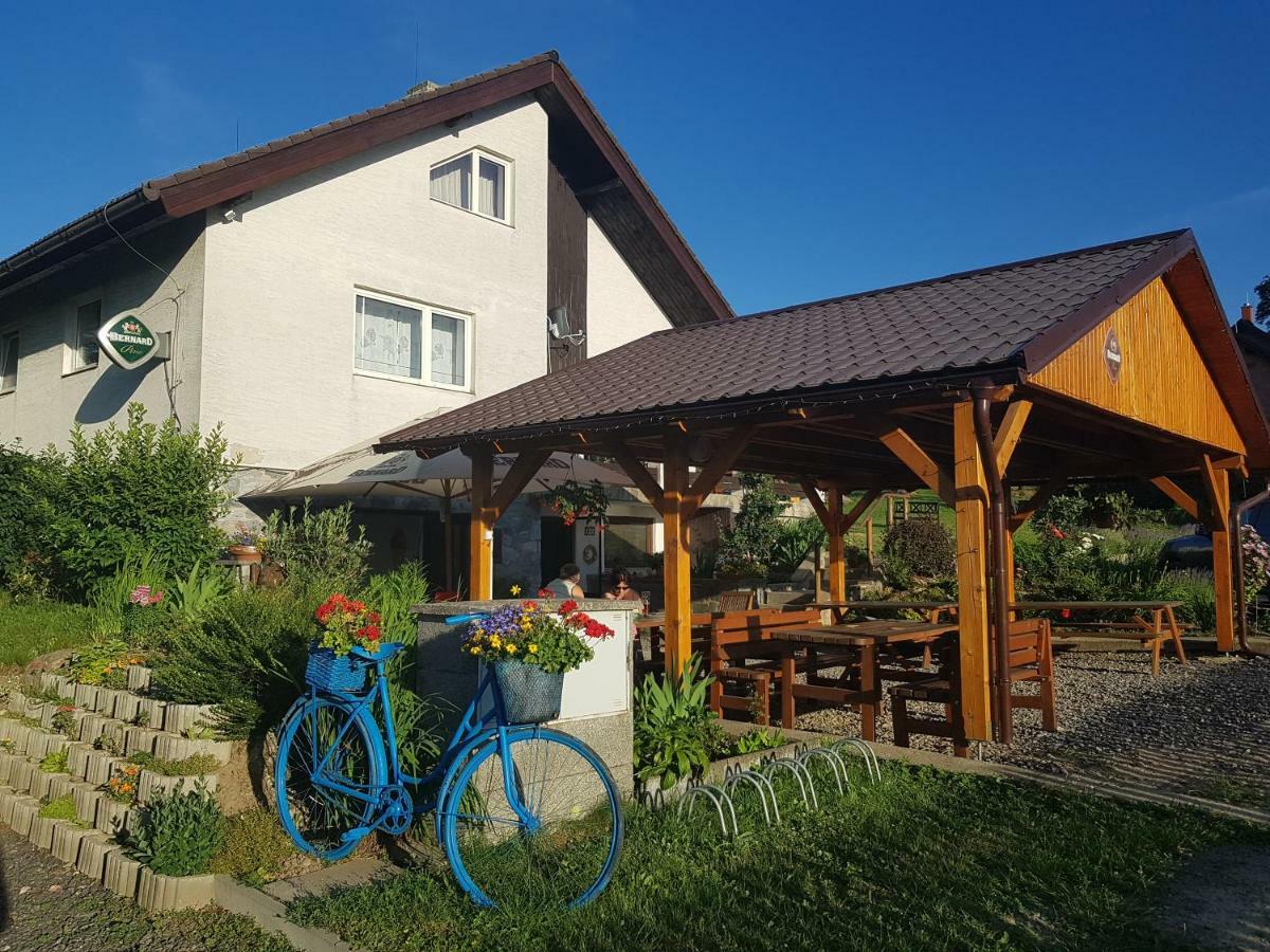Penzion u Vichu Červená Voda Esterno foto