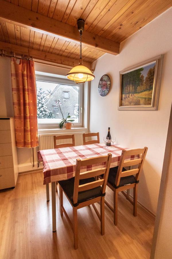 Penzion u Vichu Červená Voda Esterno foto
