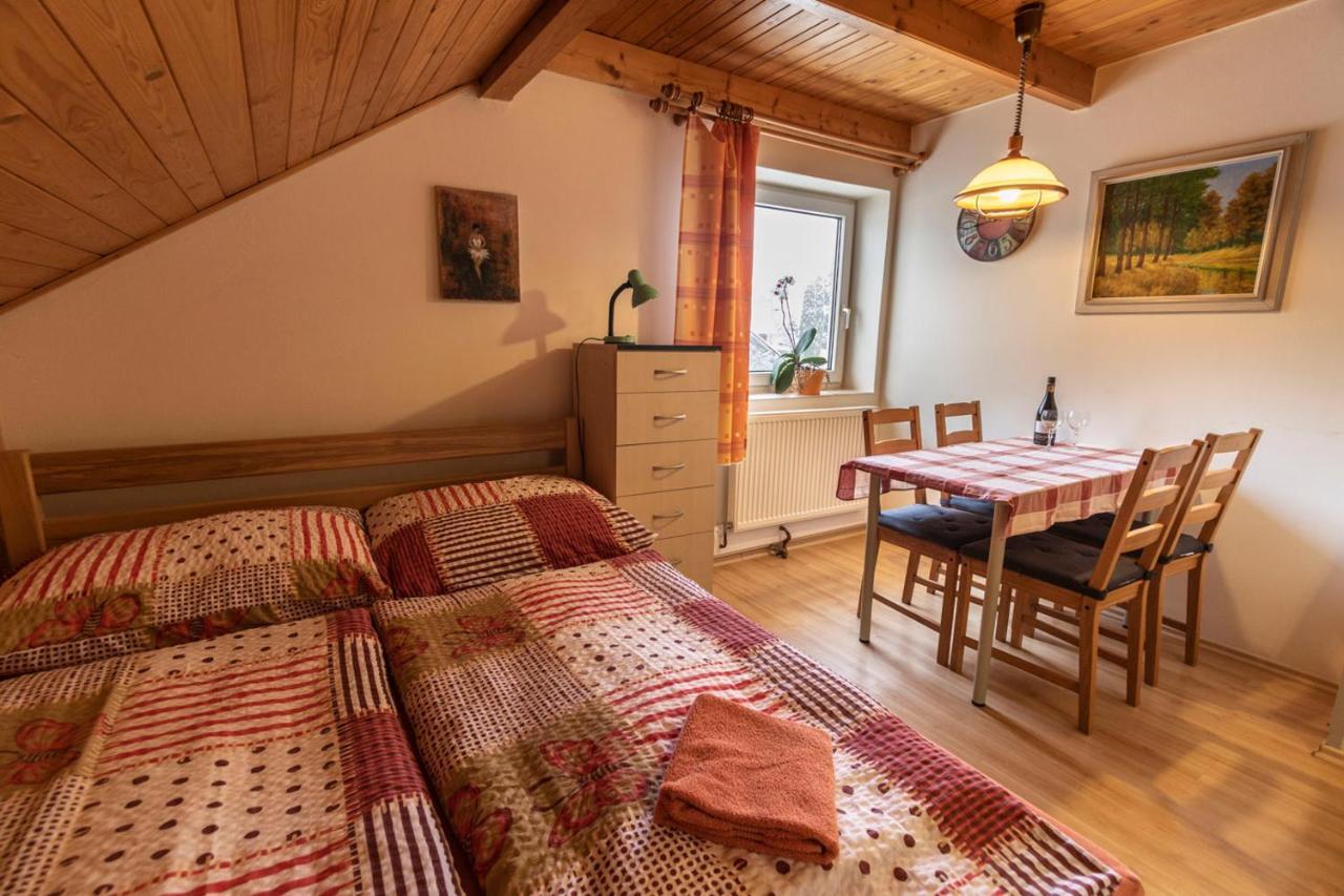 Penzion u Vichu Červená Voda Esterno foto