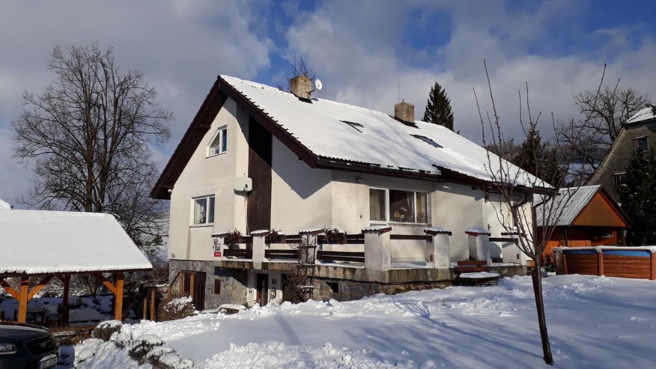 Penzion u Vichu Červená Voda Esterno foto
