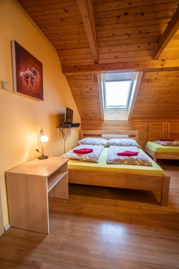 Penzion u Vichu Červená Voda Esterno foto