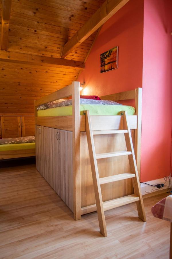 Penzion u Vichu Červená Voda Esterno foto